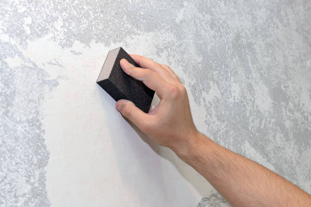 Best Black Mold Removal  in Petoskey, MI