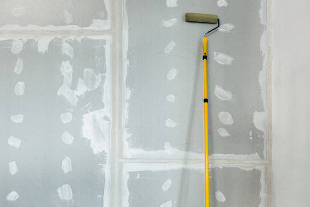 Best Commercial Mold Inspection  in Petoskey, MI