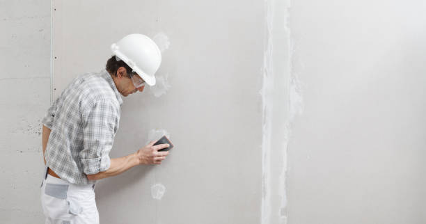 Biohazard Mold Removal in Petoskey, MI