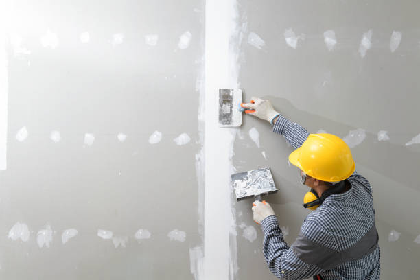 Best Mold Prevention Services  in Petoskey, MI
