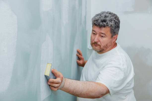 Best Real Estate Mold Inspection  in Petoskey, MI