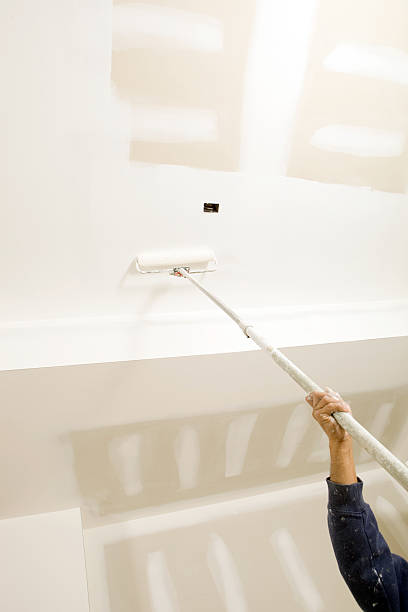 Best Dehumidification Services  in Petoskey, MI