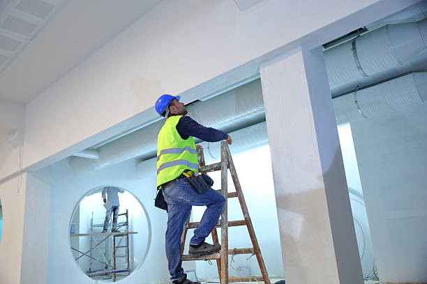 Mold Odor Removal Services in Petoskey, MI