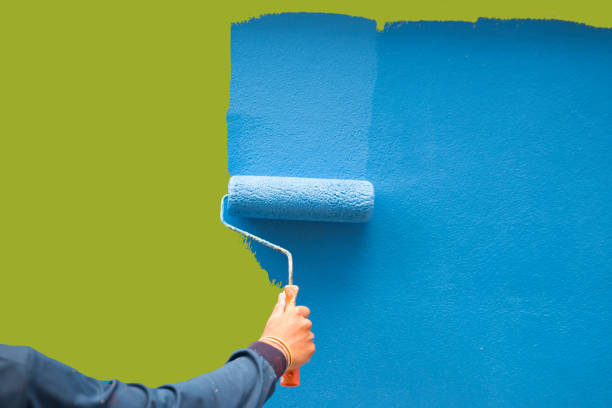 Best Attic Mold Removal  in Petoskey, MI